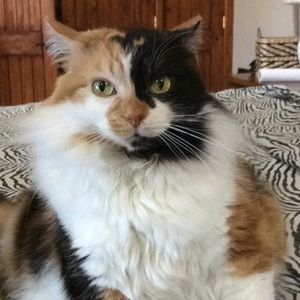 GUESS WHAT HER NAME IS?